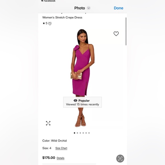 Adrianna Papell Dress…Worn once. Size 10 - Picture 5 of 5